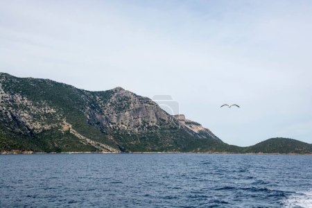 Téléchargez les photos : Un lac entouré d'un paysage montagneux rocheux et d'une mouette volant contre un ciel nuageux - en image libre de droit