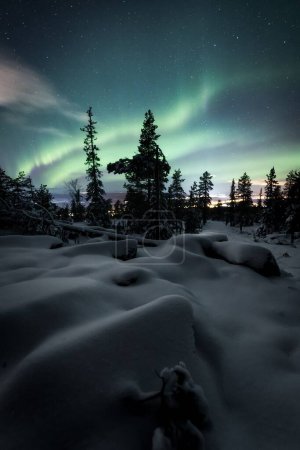Photo for A breathtaking view of the Northern lights or aurora borealis in  Lapland, Finland - Royalty Free Image