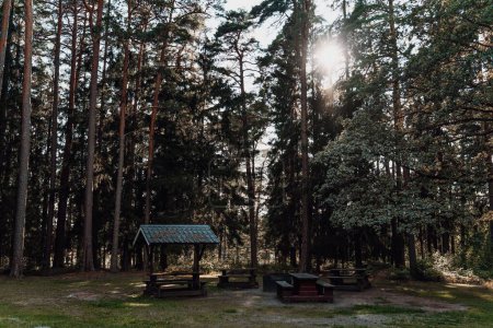 Téléchargez les photos : Les bancs et les tables en bois dans une forêt par une journée ensoleillée - en image libre de droit