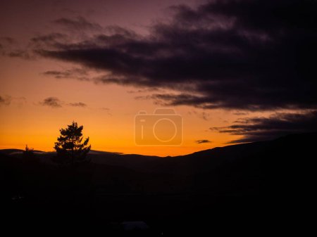 Photo for A silhouette of a single tree and hills under the cloudy sky at sunset - Royalty Free Image