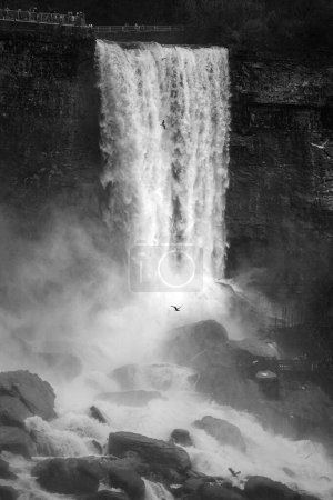Foto de Un tiro vertical a escala de grises de cascada blanca espumosa que fluye por la colina rocosa - Imagen libre de derechos