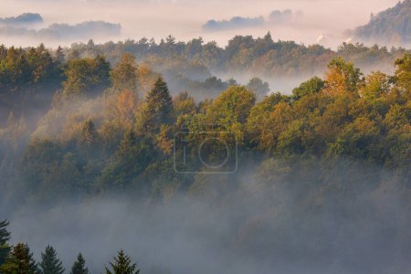 Téléchargez les photos : Un beau paysage de forêts sur les montagnes sur un coucher de soleil brumeux - en image libre de droit