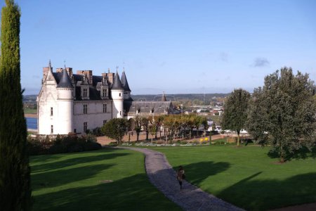 Foto de Chateau d 'Amboise Francia durante la temporada de automóviles - Imagen libre de derechos