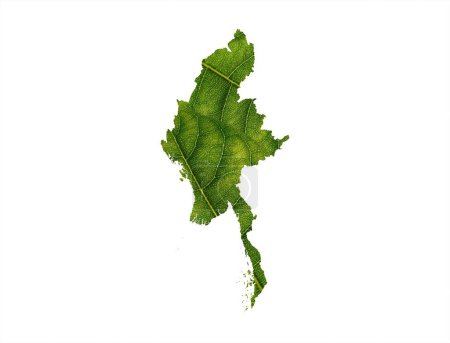 Photo for A Myanmar map made of green leaves on White background ecology concept - Royalty Free Image