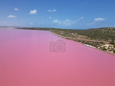 Téléchargez les photos : La belle vue sur le lac Rose. Lac Hillier, Australie occidentale. - en image libre de droit