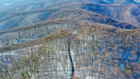 Téléchargez les photos : Une vue aérienne de la route de montagne Fruska Gora en hiver - en image libre de droit
