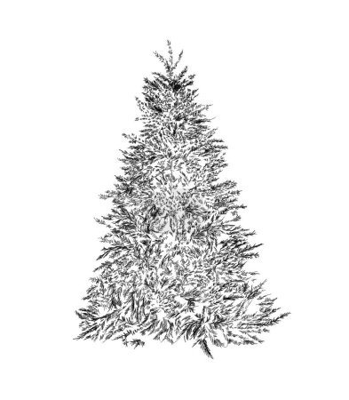 Téléchargez les photos : Arbre de Noël unique noir et blanc dessin illustré. Hiver et vacances inspiré conception de l'arbre de Noël. Isolé sur fond blanc. - en image libre de droit