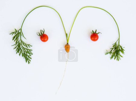 Photo for Two red cherry tomatoes and a tiny carrot with long green leaves forming a funny face on white surface - Royalty Free Image