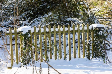Foto de Un primer plano de una valla con hojas verdes en el fondo, cubiertas de nieve, en un día soleado - Imagen libre de derechos