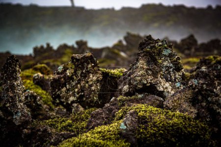 Photo for A closeup shot of lava flows with lichen - Royalty Free Image