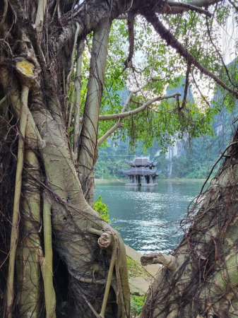 Photo for Beautiful pagoda on the lake with a tree in front - Royalty Free Image