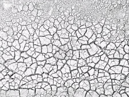 Foto de Un plano en escala de grises de un piso seco agrietado - Imagen libre de derechos