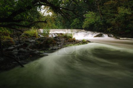 Photo for A long exposure shot of a river and a waterfall surrounded by the dense forest during the daytime - Royalty Free Image