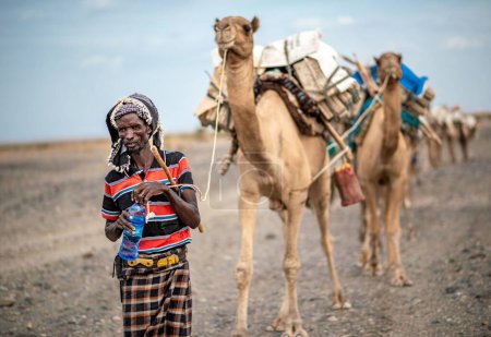 Téléchargez les photos : Un Éthiopien avec caravane de chameaux chargés le long des plaines salées d'Erta Ala - en image libre de droit