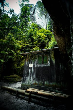 Foto de Un plano vertical de una antigua cabaña abandonada en un bosque rodeado de naturaleza salvaje - Imagen libre de derechos