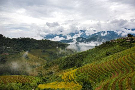 Téléchargez les photos : Une belle vue sur les nuages se levant lentement le matin dans les montagnes des hauts plateaux du Vietnam - en image libre de droit