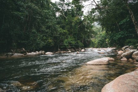 Téléchargez les photos : Une vue panoramique sur la rivière Sungai Kampar qui coule dans une forêt vue pendant la journée - en image libre de droit