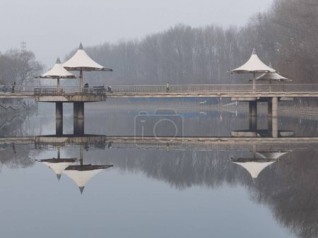 Foto de Un pajarito sobre un lago tranquilo y gente caminando sobre él junto a paraguas metálicos en un día nublado - Imagen libre de derechos