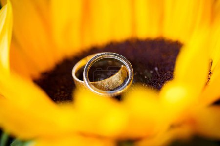Photo for A closeup shot of wedding rings on the yellow bride bouquet - Royalty Free Image