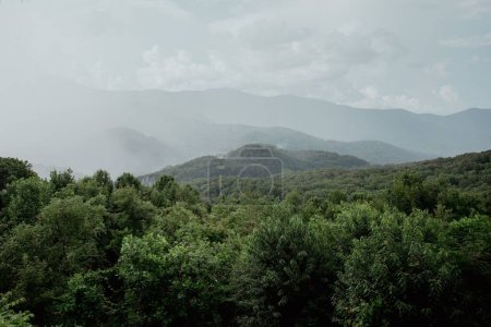 Foto de La hermosa vista de la exuberante vegetación verde con colinas en el fondo. - Imagen libre de derechos