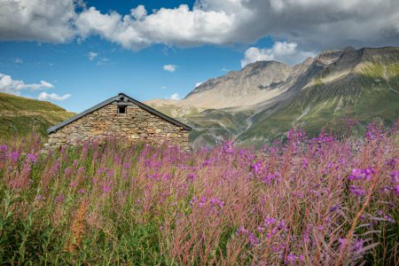Foto de Una vista impresionante de las flores de leña en Tour Du Monte Blanc en un paisaje verde con una casa hecha de piedras - Imagen libre de derechos