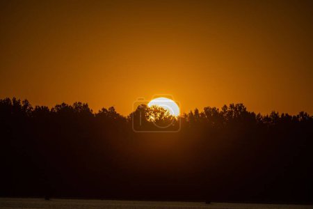Foto de Una vista panorámica de la silueta de los árboles y un sol dorado escondido detrás de ellos al atardecer magnífico - Imagen libre de derechos