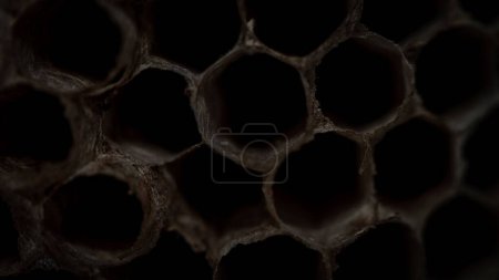 Téléchargez les photos : Un gros plan sombre d'une ruche vide en nid d'abeille avec des trous profonds - en image libre de droit