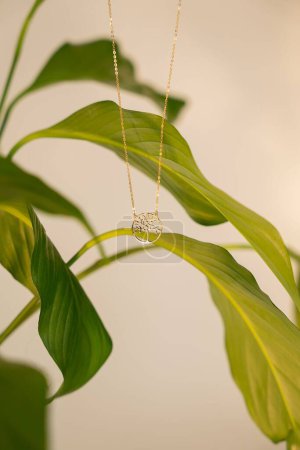 Téléchargez les photos : Un pendentif jaune-or sur une plante verte - en image libre de droit