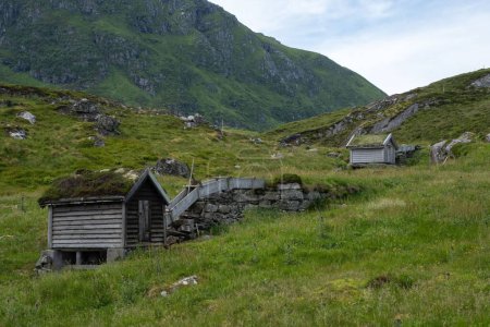 Téléchargez les photos : Un beau paysage montrant les vieux moulins à eau avec des toits herbeux dans un village norvégien - en image libre de droit