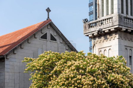 Photo for The St. Teresa's Church and the tower in Hong Kong next to a blooming tree on a sunny day - Royalty Free Image