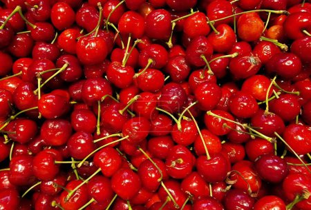 Photo for A closeup shot of red sour cherries - Royalty Free Image