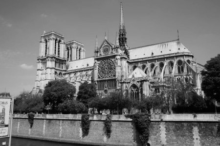 Foto de Un plano a escala de grises de la fachada de la catedral de Nuestra Señora de París en París, Francia - Imagen libre de derechos
