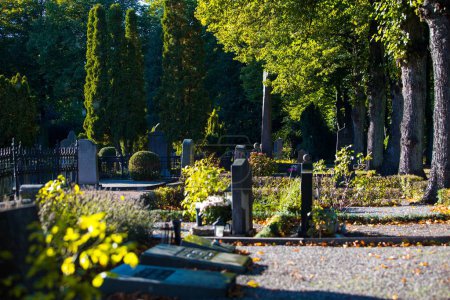 Die Grabsteine auf dem Friedhof