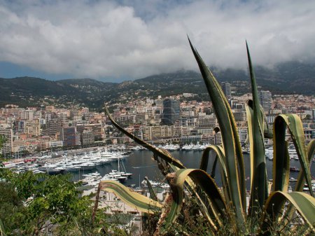 Foto de Una vista desde detrás de la planta de cactus del puerto, arquitecturas de Mónaco, cielo nublado y montaña - Imagen libre de derechos