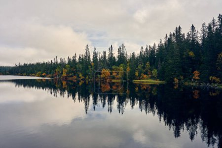 Foto de Un hermoso paisaje del lago Svartdal Stjerna con árboles otoñales en Totenaasen Hills, Oppland, Noruega - Imagen libre de derechos