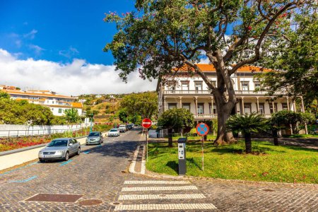 Foto de Una hermosa vista de coches en la calle con árboles y edificios en Madeira, Portugal con un cielo azul - Imagen libre de derechos