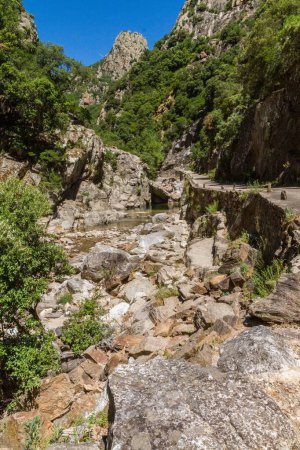 Foto de Un camino rocoso de una montaña. - Imagen libre de derechos