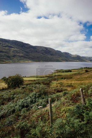 Téléchargez les photos : Vue verticale du paysage du parc national du Connemara en Irlande - en image libre de droit