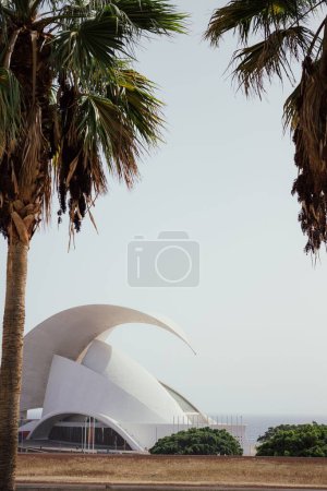 Téléchargez les photos : Le célèbre auditorium de Tenerife Adan Martin dans la ville de Santa Cruz de Tenerife - en image libre de droit