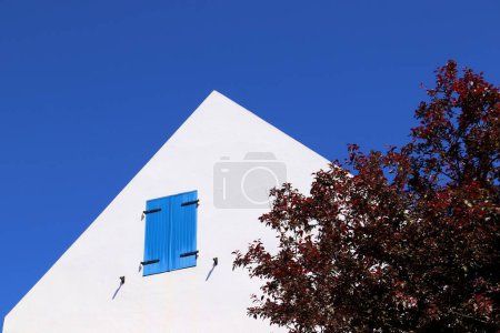 Téléchargez les photos : Vue en angle bas d'un bâtiment avec des fermetures en bois bleu sur une fenêtre et un arbre rouge - en image libre de droit