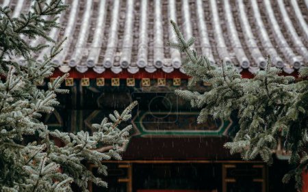 Photo for The evergreen tree branches near a traditional Chinese building on a rainy day - Royalty Free Image