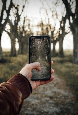 Photo for A person taking a beautiful picture of a pathway in a park on a smartphone - Royalty Free Image