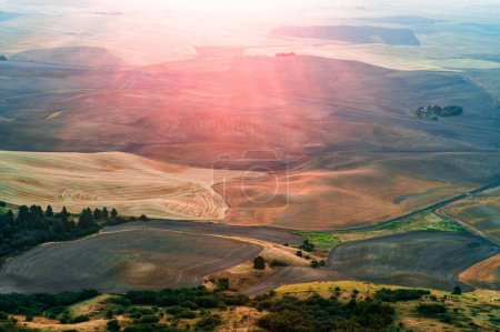 Téléchargez les photos : Une belle vue sur une terre agricole couverte de rayons de soleil - en image libre de droit