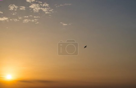 Téléchargez les photos : Un cliché lointain d'un oiseau volant dans les airs lors d'un coucher de soleil doré illuminant le ciel - en image libre de droit