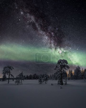Téléchargez les photos : Vue verticale des aurores polaires dans le ciel étoilé de la forêt de sapins neigeux de Kolari, Laponie, Finlande - en image libre de droit