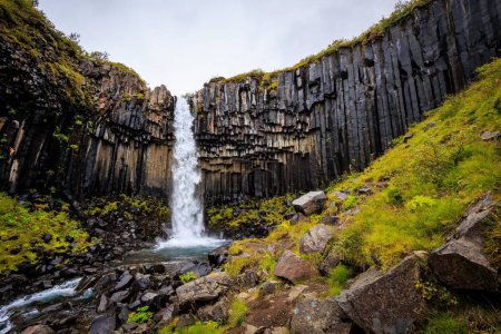 Eine schöne Aufnahme des fließenden Svartifoss-Wasserfalls an einem bewölkten Tag in Island
