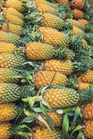 Téléchargez les photos : Un plan en angle élevé d'un bouquet d'ananas - en image libre de droit