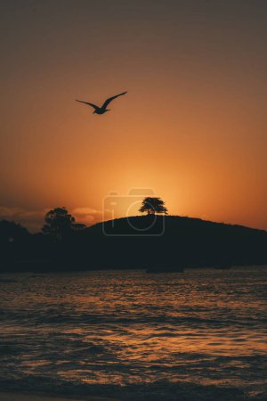 Téléchargez les photos : Vue verticale d'une silhouette d'un oiseau volant au-dessus d'un lac contre une colline au coucher du soleil à Zapallar, région de Valparaiso, Chili - en image libre de droit