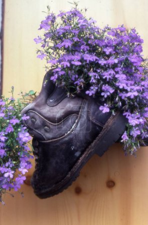 Foto de Una hermosa foto de unas botas viejas decoradas con flores - Imagen libre de derechos