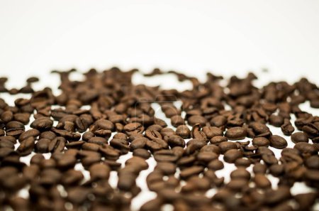 Téléchargez les photos : Un gros plan de grains de café torréfiés sur fond blanc. - en image libre de droit